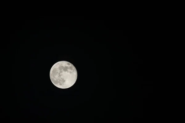 夜空と月明かりの満月 — ストック写真