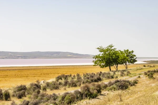 Tuz Gölü,Ankara; Türkiye-28 Mayıs 2019.Tuz Gölü Türkiye'nin ikinci büyük gölü ve dünyanın en büyük hipersaline göllerinden biridir. Yaz sezonunda Tuz Gölü'nden manzara .