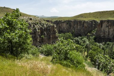 Ihlara,Aksaray,Türkiye-30 Mayıs 2019.Ihlara Vadisi (Peristrema Manastırı) veya Ihlara Geçidi, Türkiye'nin yürüyüş gezileri için en ünlü vadisidir. Ihlara Vadisi'nden yeşil doğa manzarası
