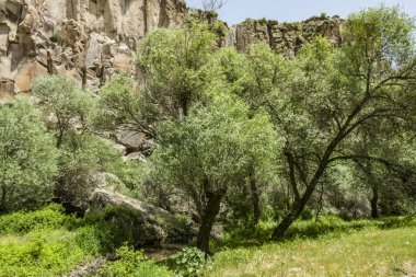 Ihlara,Aksaray,Türkiye-30 Mayıs 2019.Ihlara Vadisi (Peristrema Manastırı) veya Ihlara Geçidi, Türkiye'nin yürüyüş gezileri için en ünlü vadisidir. Ihlara Vadisi'nden yeşil doğa manzarası