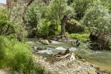 Ihlara,Aksaray,Türkiye-30 Mayıs 2019.Ihlara Vadisi (Peristrema Manastırı) veya Ihlara Geçidi, Türkiye'nin yürüyüş gezileri için en ünlü vadisidir. Ihlara Vadisi'nden yeşil doğa manzarası
