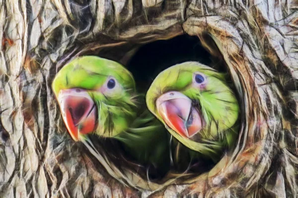 Крупним Планом Папуги Дерев Яній Дірі Природі — стокове фото