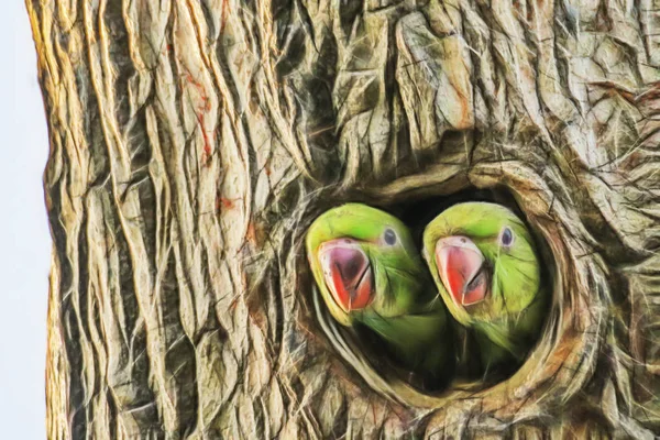 Närbild Papegojor Träd Hålet Naturen — Stockfoto