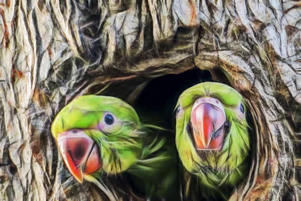 Закрыть Попугаев Лесной Яме Природе — стоковое фото