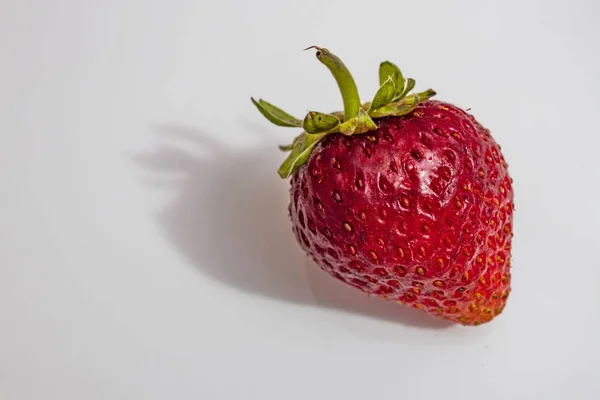 Close Fress Strawberry Leaf White Plate — Stock Photo, Image