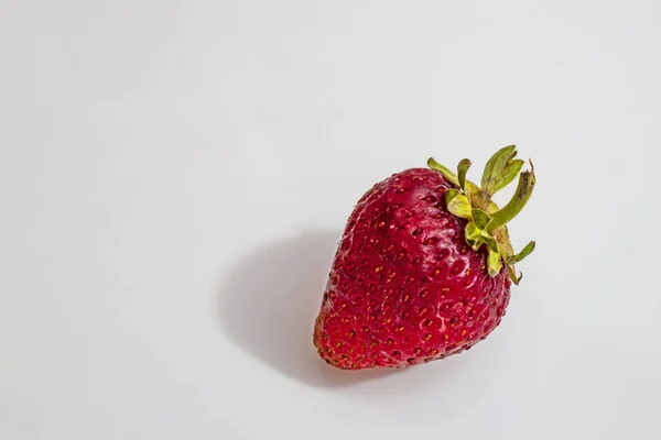 Close Fress Strawberry Leaf White Plate — Stock Photo, Image