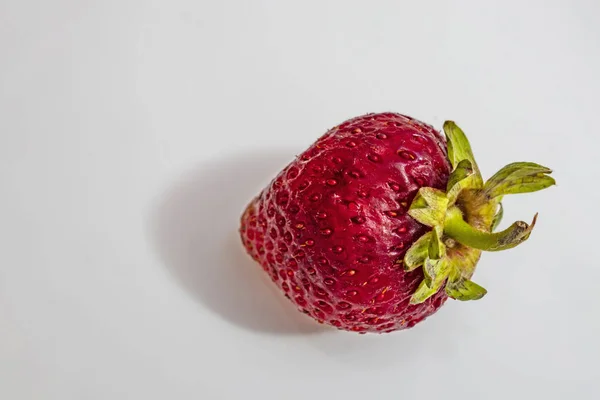 Close Fress Strawberry Leaf White Plate — Stock Photo, Image