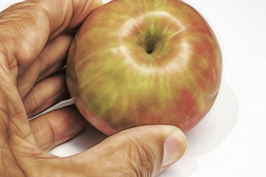 el ile beyaz arka plan üzerinde kırmızı elma yakın