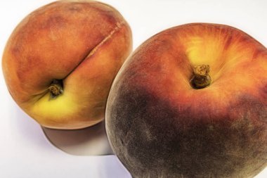 beyaz arka plan üzerinde olgun taze şeftali kadar yakın.