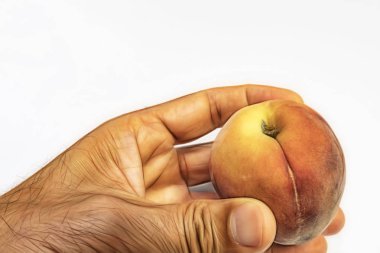 el ve beyaz arka plan olgun taze şeftali kadar yakın.