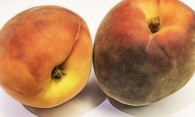 beyaz arka plan üzerinde olgun taze şeftali kadar yakın.