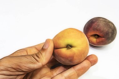 el ve beyaz arka plan olgun taze şeftali kadar yakın.