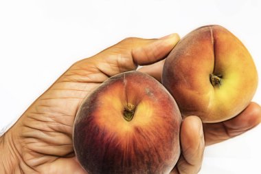 el ve beyaz arka plan olgun taze şeftali kadar yakın.