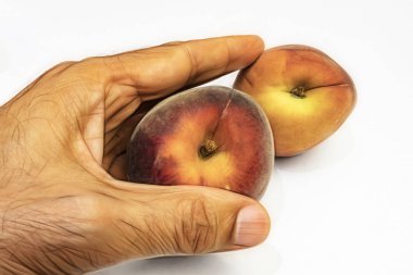 el ve beyaz arka plan olgun taze şeftali kadar yakın.