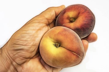 el ve beyaz arka plan olgun taze şeftali kadar yakın.