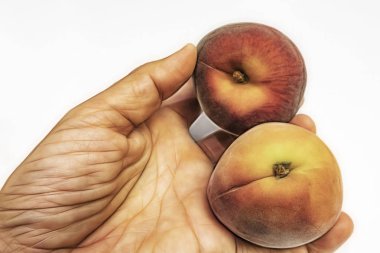 el ve beyaz arka plan olgun taze şeftali kadar yakın.