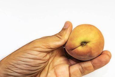 el ve beyaz arka plan olgun taze şeftali kadar yakın.