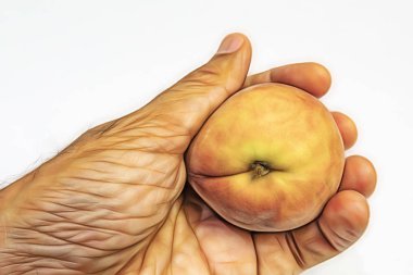 el ve beyaz arka plan olgun taze şeftali kadar yakın.