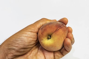 el ve beyaz arka plan olgun taze şeftali kadar yakın.