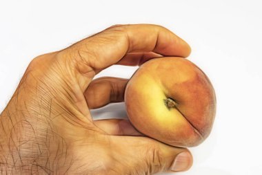 el ve beyaz arka plan olgun taze şeftali kadar yakın.