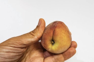 el ve beyaz arka plan olgun taze şeftali kadar yakın.