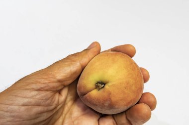 el ve beyaz arka plan olgun taze şeftali kadar yakın.