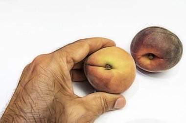 el ve beyaz arka plan olgun taze şeftali kadar yakın.