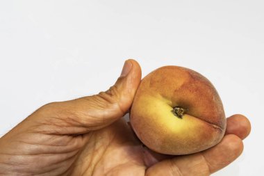 el ve beyaz arka plan olgun taze şeftali kadar yakın.