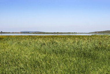 golyazi,bursa,türkiye-12 Ağustos 2019. Bursa'da Uluabat gölü kıyısındaki Gölyazı köyü. Gölyazı'dan Manzara