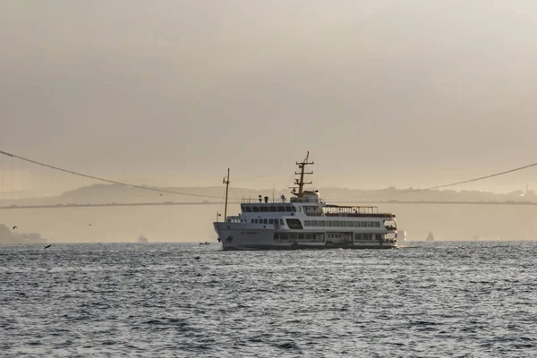 Istanbul Pavo Agosto 2019 Istanbul Ciudad Ensueño Medio Asia Continente —  Fotos de Stock