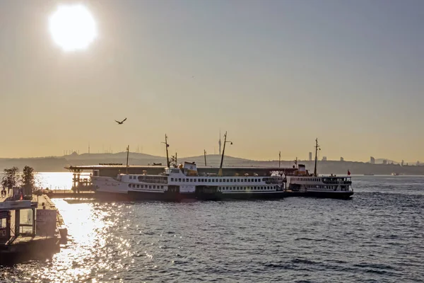 Istanbul Pavo Agosto 2019 Istanbul Ciudad Ensueño Medio Asia Continente — Foto de Stock