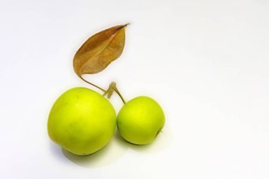 beyaz arka planda yeşil elma yakın.