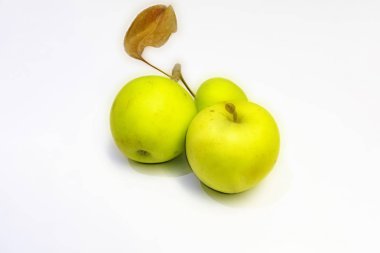 beyaz arka planda yeşil elma yakın.
