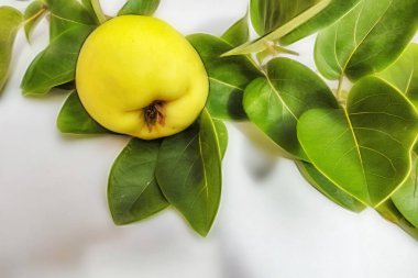 beyaz arka plan üzerinde ayva meyve ve yeşil yaprakları kadar yakın