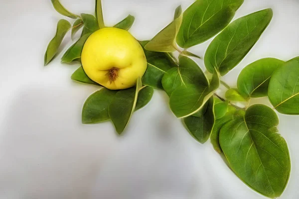 Close Quince Fruit Green Leaves White Background — Stock Photo, Image