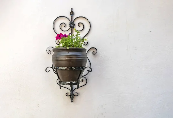 Ornamental Plant Pot Wall — Stock Photo, Image