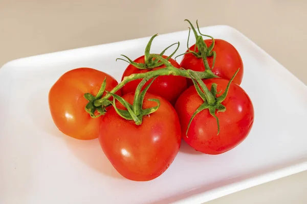 Bouquet Tomates Sur Assiette Blanche — Photo