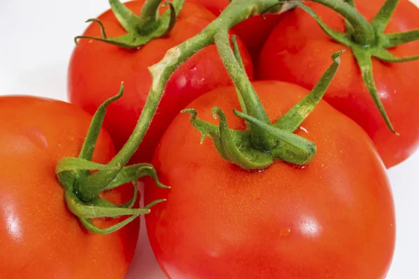 Bouquet Tomates Sur Assiette Blanche — Photo