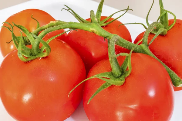 一束西红柿在白盘上 — 图库照片