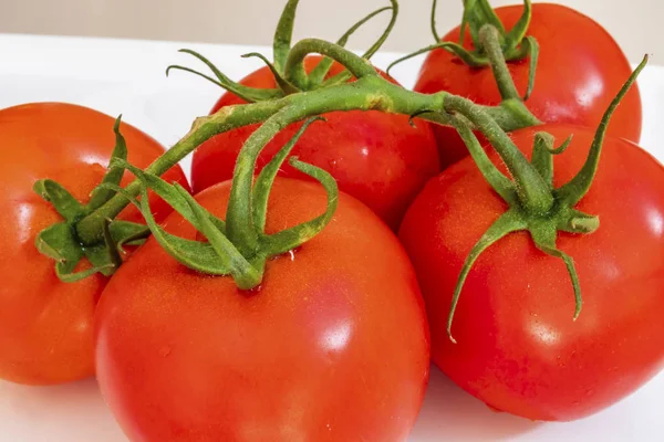 Bouquet Tomates Sur Assiette Blanche — Photo