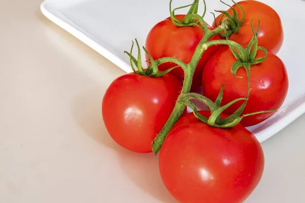Bouquet Tomates Sur Assiette Blanche — Photo