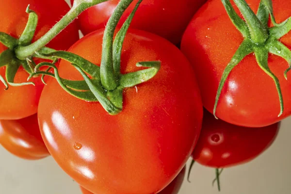 Ramo Tomates Plato Blanco —  Fotos de Stock
