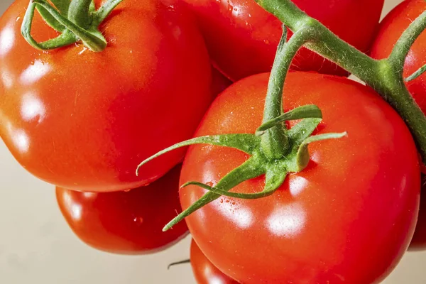 Ramo Tomates Plato Blanco —  Fotos de Stock