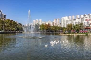 bahçeşehir,istanbul,türkiye-29 Eylül 2019. bahçeşehir gölet ve doğa parkından genel görünüm. İstanbul'un ilk ve en büyük yapay gölet.
