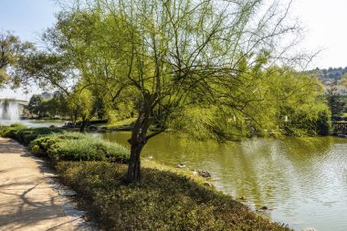 bahçeşehir,istanbul,türkiye-29 Eylül 2019. bahçeşehir gölet ve doğa parkından genel görünüm. İstanbul'un ilk ve en büyük yapay gölet.