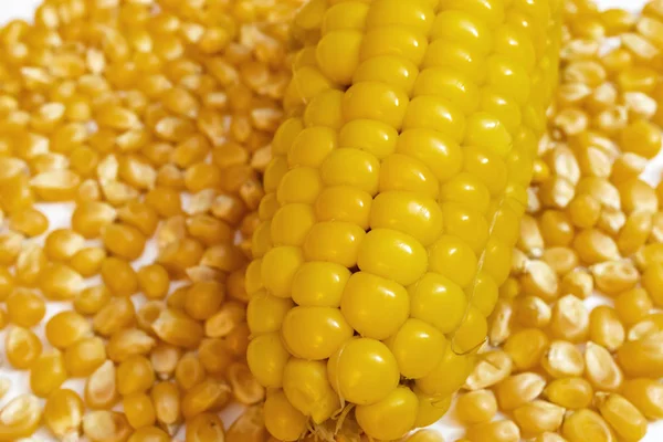 Закрыть Вареные Кукурузы Зерна Кукурузы Тарелке — стоковое фото