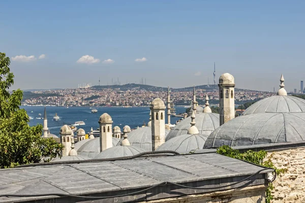 Istanbul Turkey August 2019 Cityscape Istanbul View Suleymaniye Mosque Garden — Stock Photo, Image
