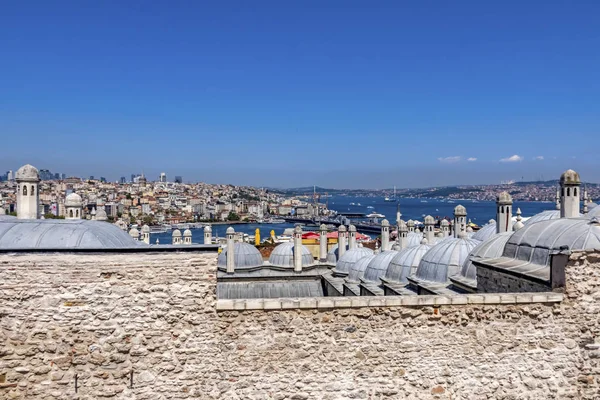 Istanbul Turkey August 2019 Cityscape Istanbul View Suleymaniye Mosque Garden — Stock Photo, Image