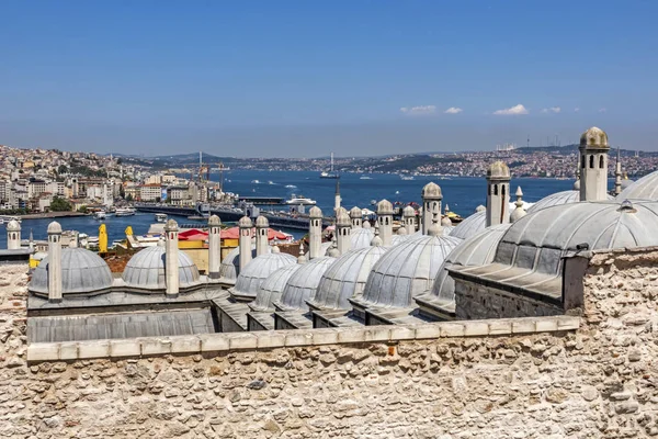 Istanbul Turkey August 2019 Cityscape Istanbul View Suleymaniye Mosque Garden — Stock Photo, Image