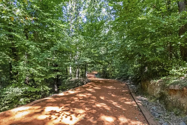 Sariyer Istanbul Dinde Augus 2019 Six Kilomètres Course Sentier Randonnée — Photo